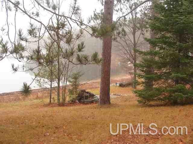 N9641 Norway Lake Road Felch, MI 49831 - Photo 9 of 16 Gallery Image 9