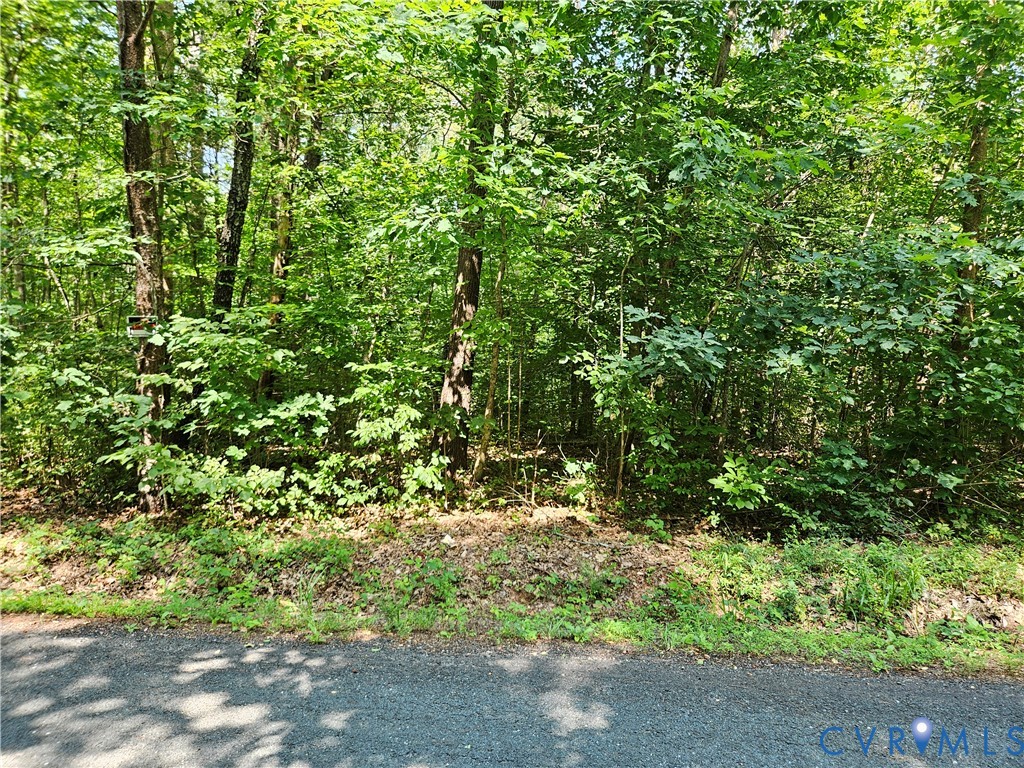 9-ac Childress Road Dillwyn, VA 23936 - Photo 7 of 8