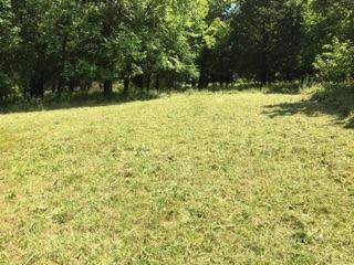 2350 Josephine Road Sadieville, KY 40370 - Photo 6 of 12 Photo 6