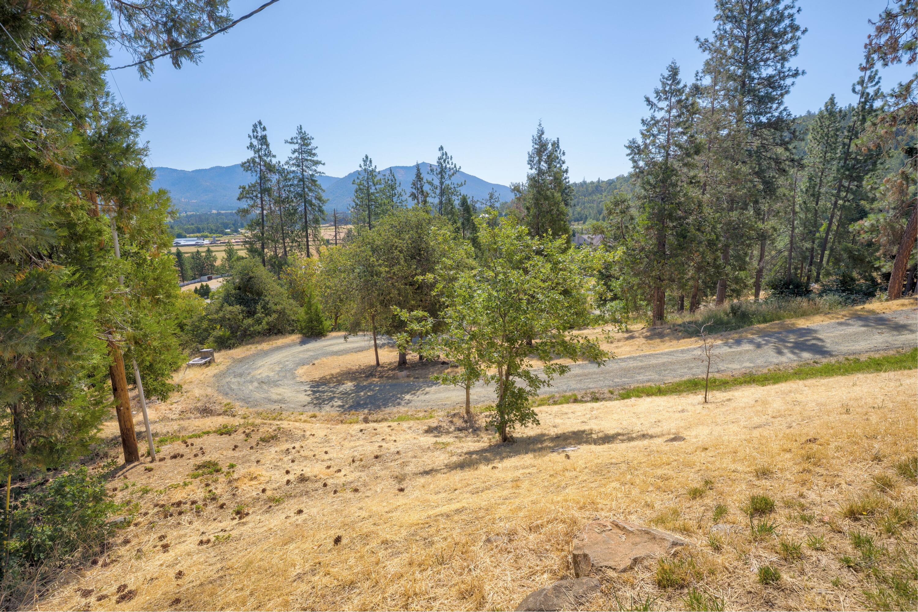 12748 Water Gap Road Williams, OR 97544 - Photo 27 of 35 a view of a yard with trees