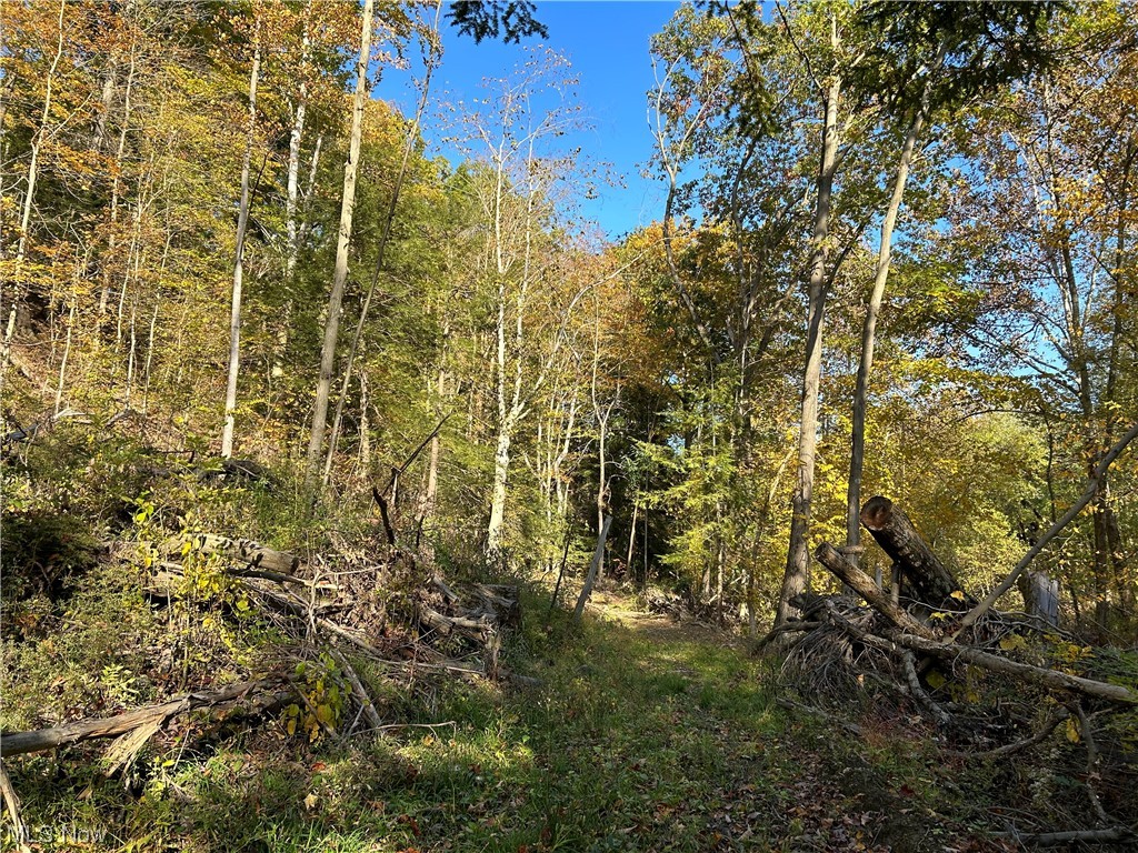 Vl South Ridge Road Conneaut, OH 44030 - Photo 21 of 35 View of nature