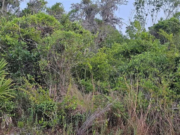 an aerial view of residential house with outdoor space and trees all around