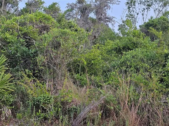 $32,000 | 0 Poppy Street, New Port Richey, FL 34654