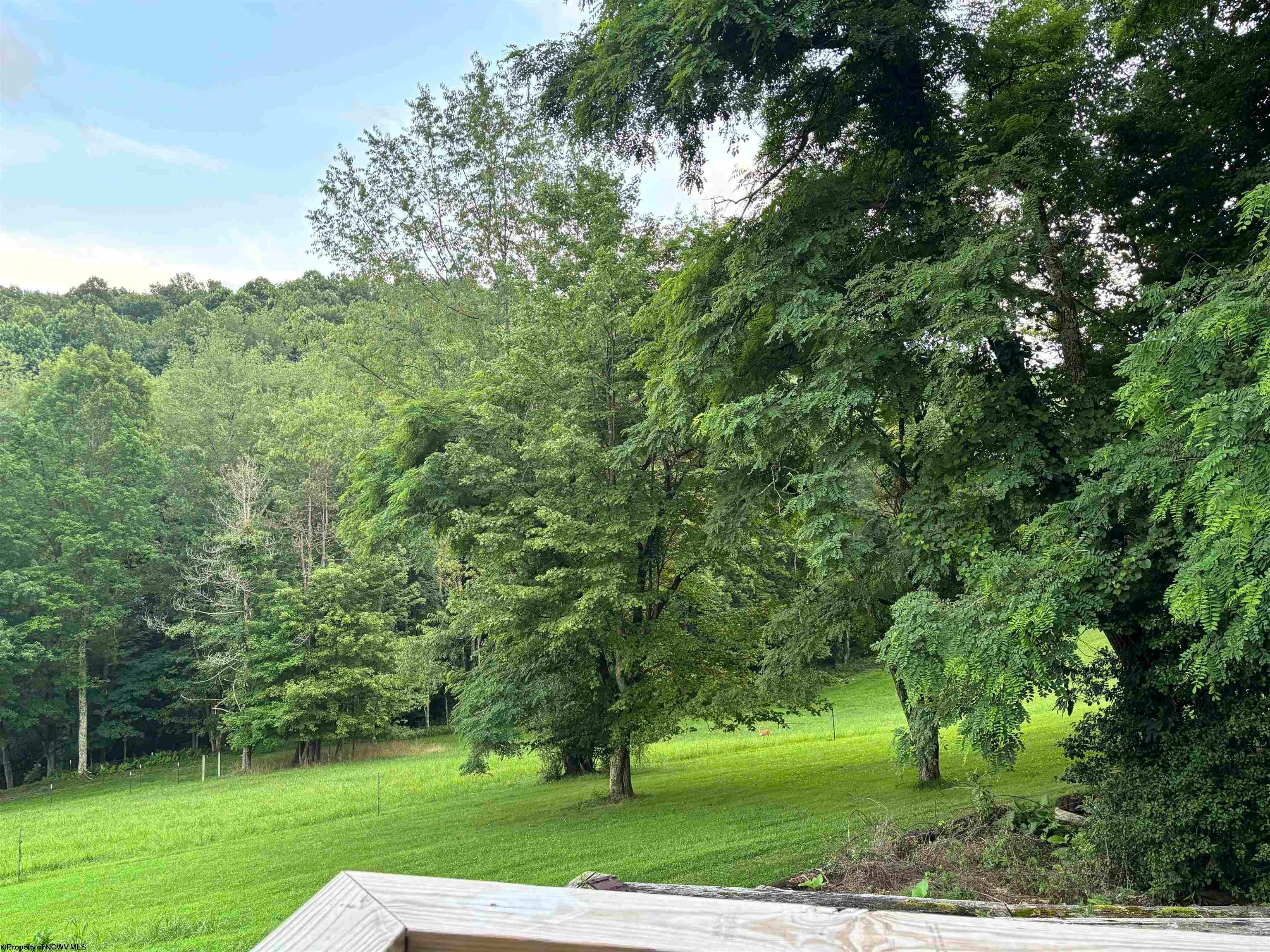 2253 Porterfield Road Philippi, WV 26416 - Photo 41 of 43 Gallery Image 41