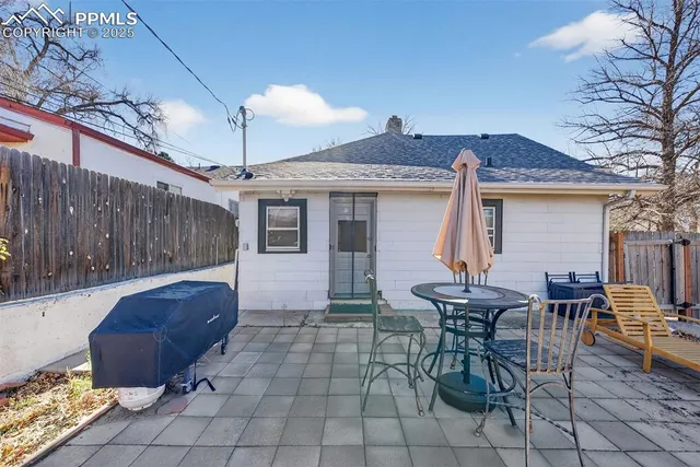 a view of a backyard with plants and large tree