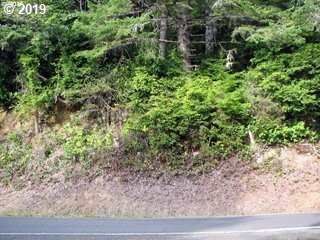 0 Collins Road Westlake, OR 97493 - Photo 3 of 16 Gallery Image 3