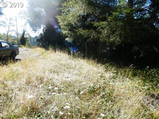 0 Collins Road Westlake, OR 97493 - Photo 5 of 16 Gallery Image 5