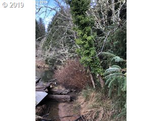 0 Collins Road Westlake, OR 97493 - Photo 8 of 16 Gallery Image 8