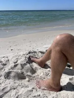 a view of a dry yard