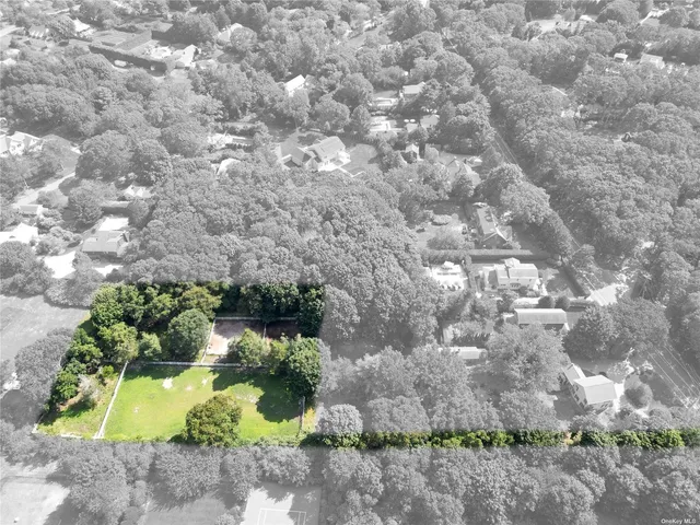 a view of a yard with plants