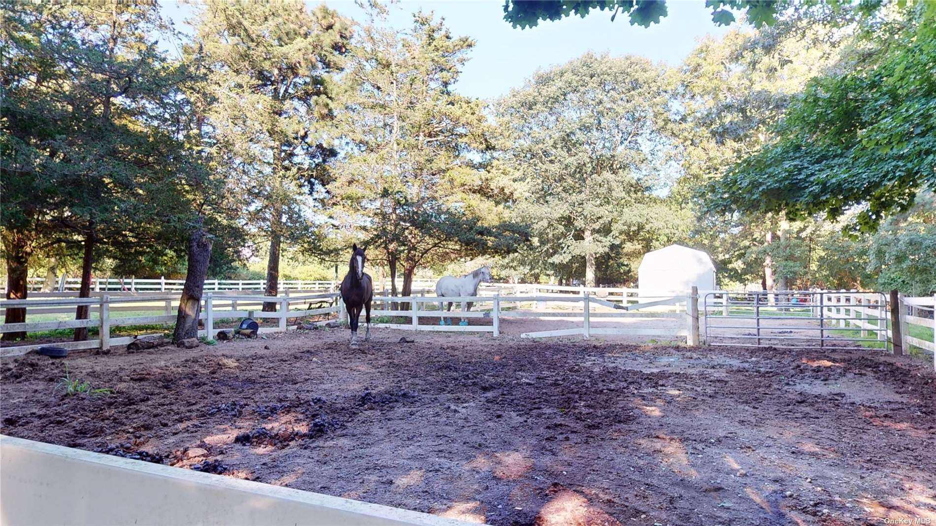 190 A South Country Road Remsenburg, NY 11960 - Photo 4 of 8 a backyard of a house with lots of green space