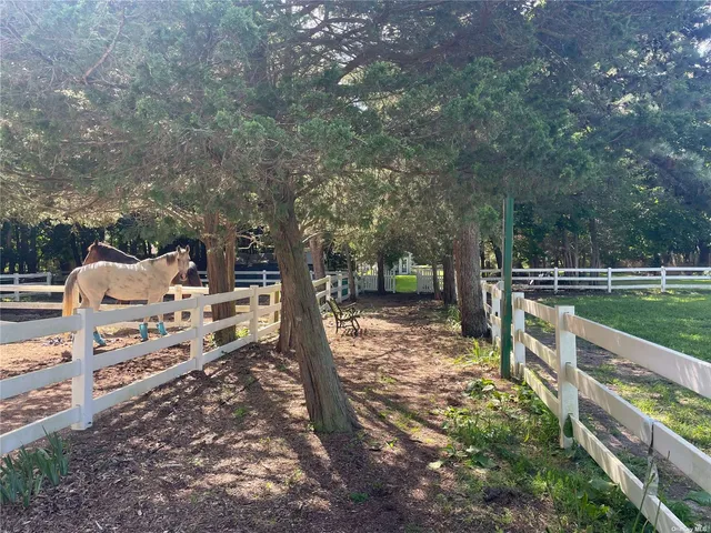 a view of a park with large trees