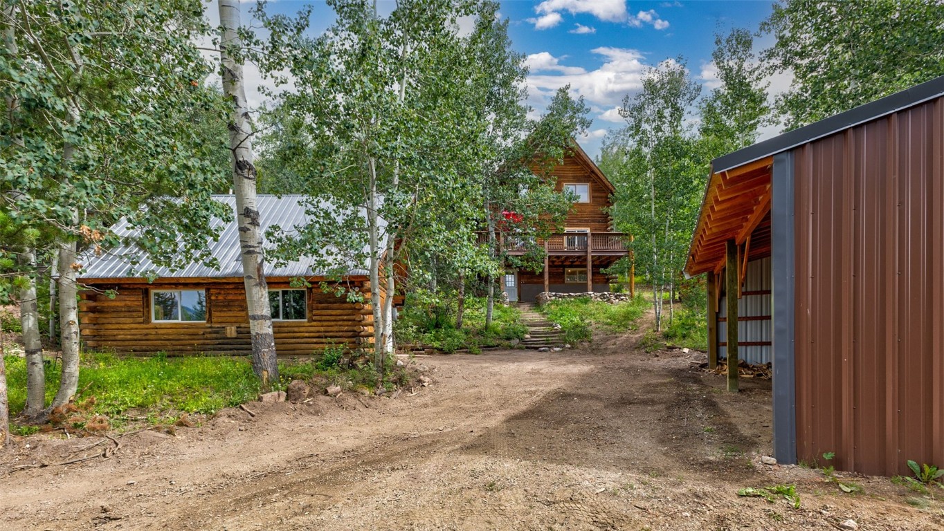 25065 Aspen Way Clark, CO 80428 - Photo 3 of 50 a view of a backyard with plants and large tree
