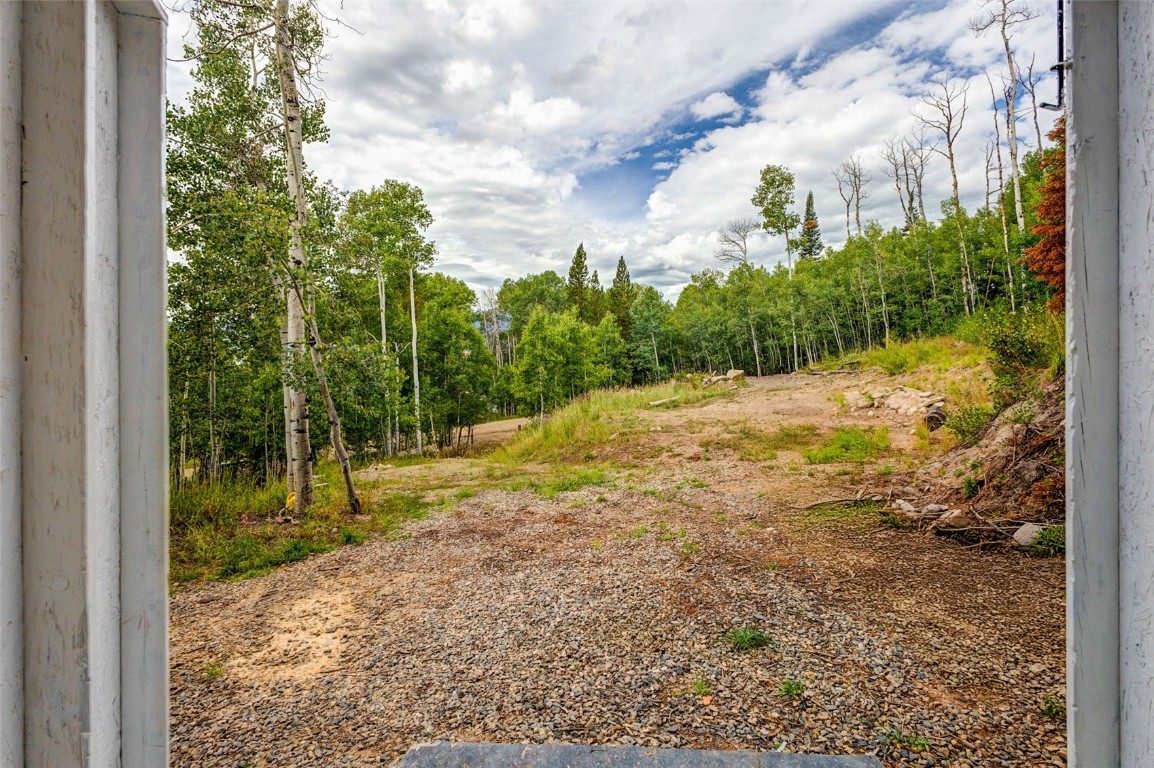 25065 Aspen Way Clark, CO 80428 - Photo 31 of 50 a view of a yard with plants and a pathway