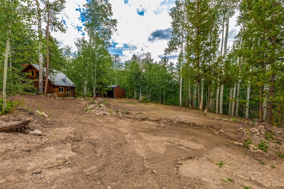 25065 Aspen Way Clark, CO 80428 - Photo 37 of 50 a view of backyard with green space
