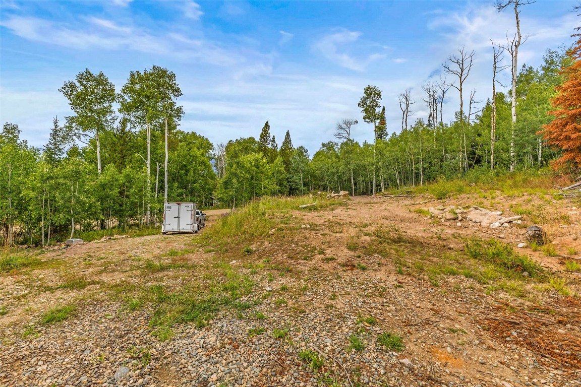 25065 Aspen Way Clark, CO 80428 - Photo 38 of 50 a view of a yard with a tree