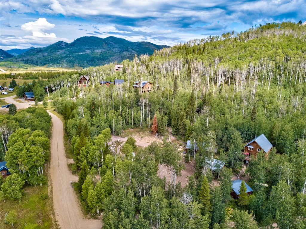25065 Aspen Way Clark, CO 80428 - Photo 39 of 50 a view of a yard with plants and large trees