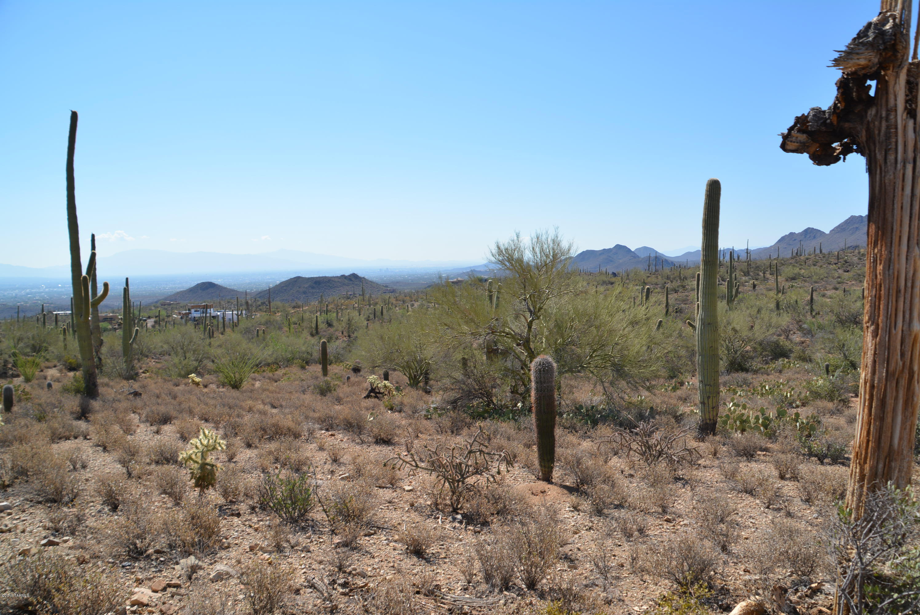 0 Broken Spring Tucson, AZ 85745 - Photo 10 of 24