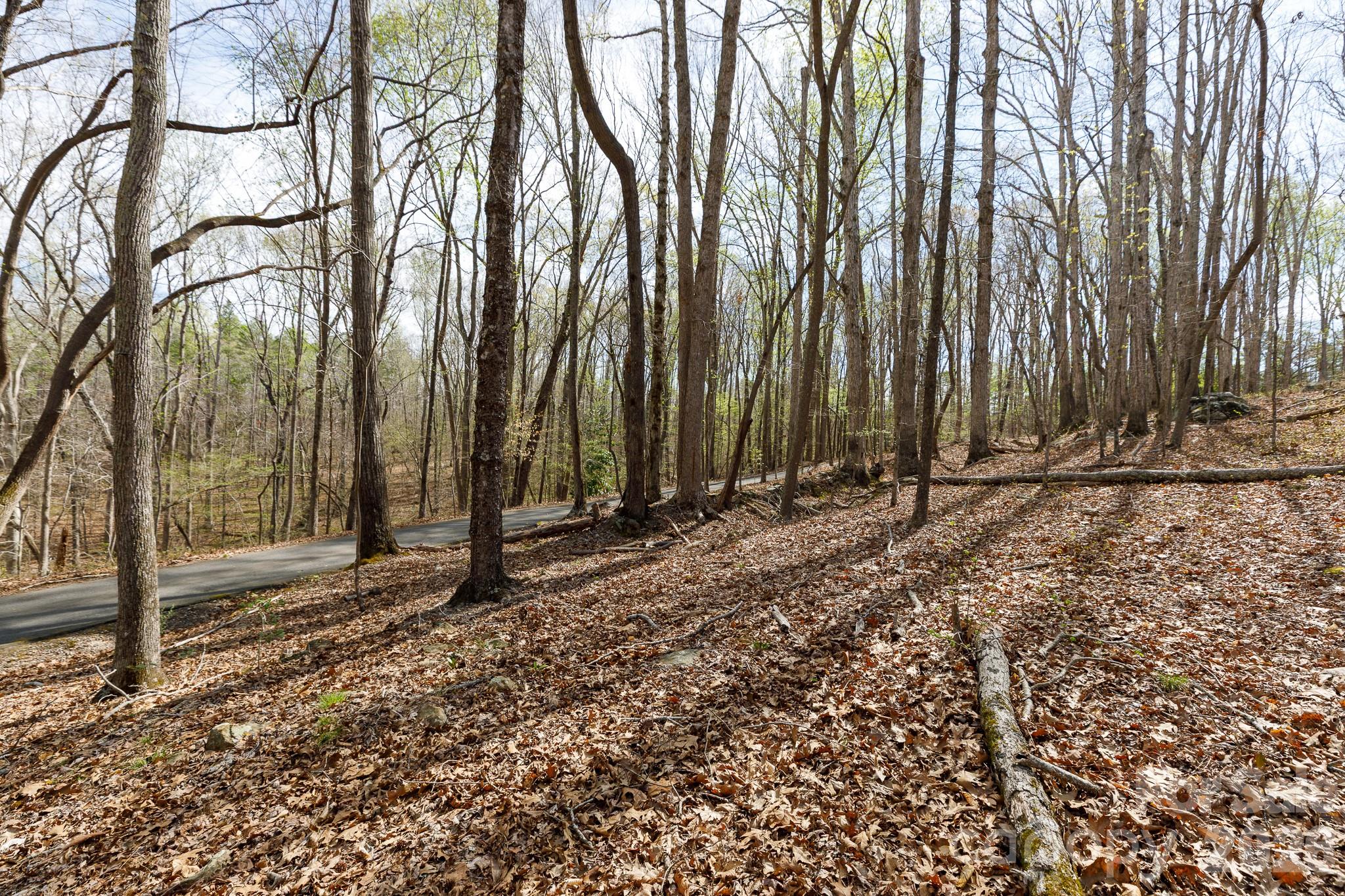 1108 State Rd S-46-996 York, SC 29745 - Photo 36 of 44