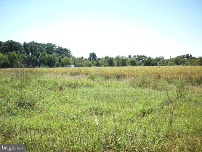 6040-1 Shiloh Camp Road Hurlock, MD 21643 - Photo 1 of 1 Exterior (Main)
