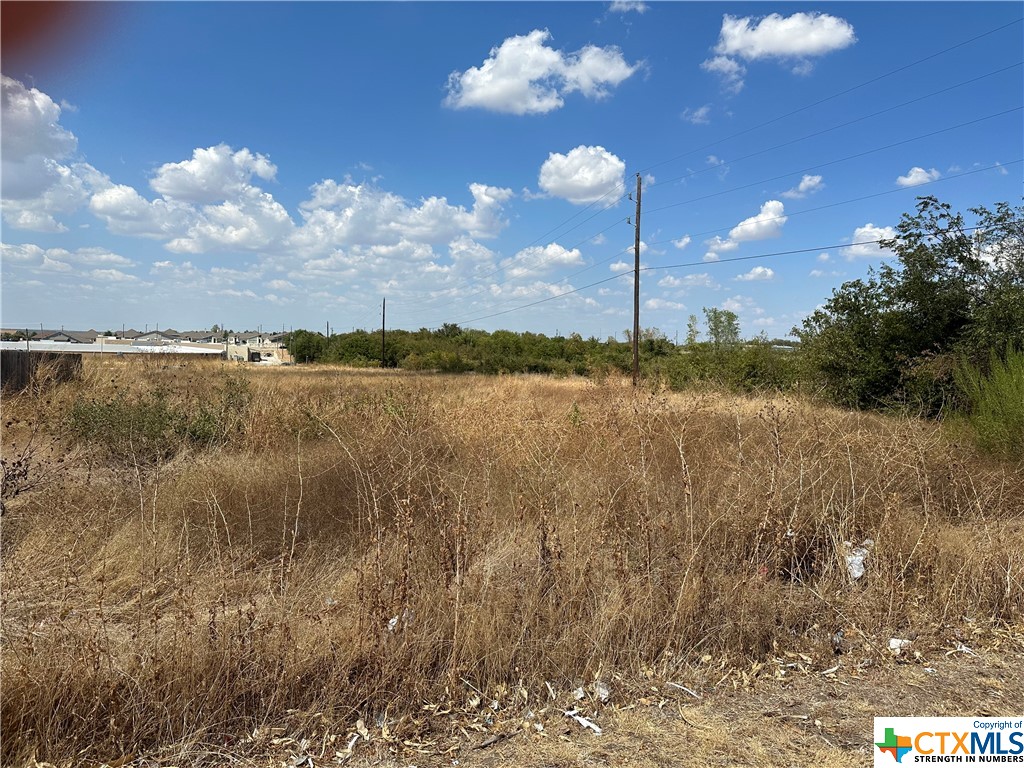 121 Calvin Smith Ln. Jarrell, TX 76537 - Photo 1 of 1 a view of lake with green space