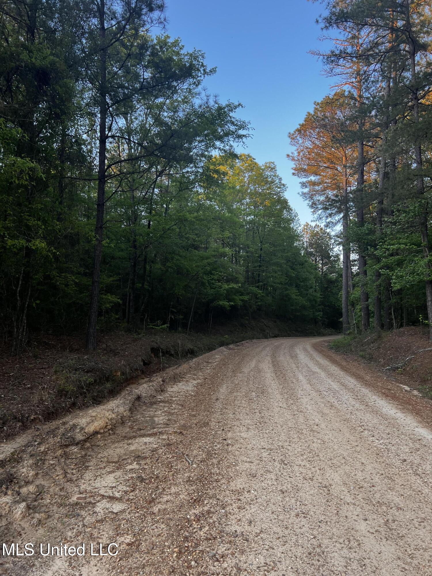 1923 Attala Road Goodman, MS 39079 - Photo 3 of 9 BB4E6BD2-1B1A-4664-946D-A020082CFBE8