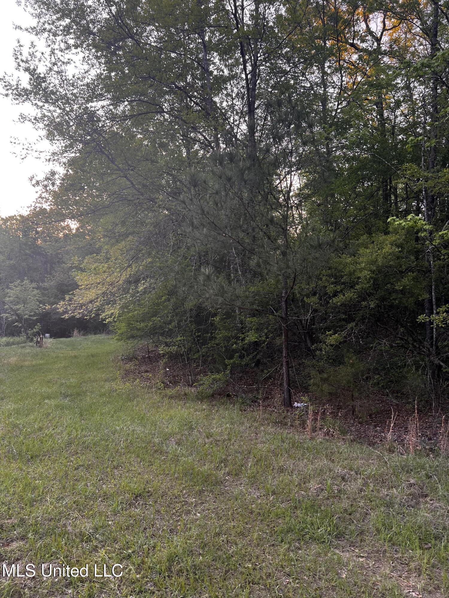 1923 Attala Road Goodman, MS 39079 - Photo 4 of 9 C9EC0829-CA7D-4966-AD79-CB539CB11E3C