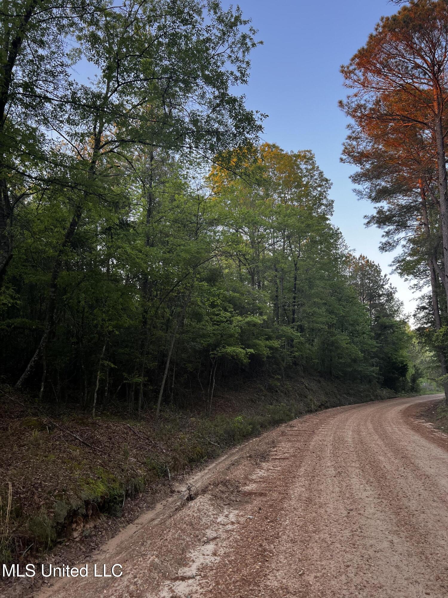 1923 Attala Road Goodman, MS 39079 - Photo 8 of 9 CB9D6ED7-1475-4DB7-8B73-06872F855DF3