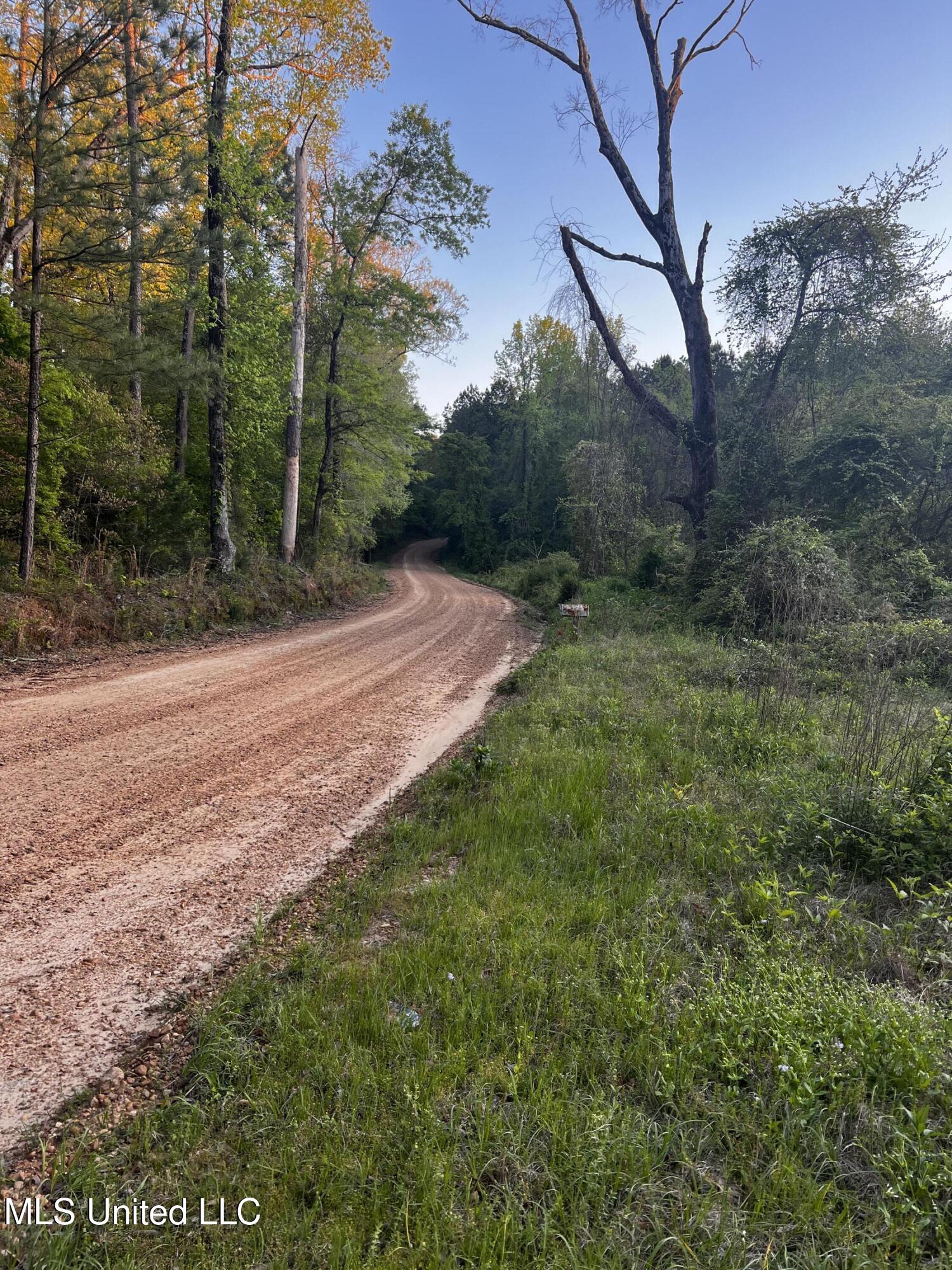 1923 Attala Road Goodman, MS 39079 - Photo 9 of 9 70824196-76D5-466F-BB9B-F626CB673538