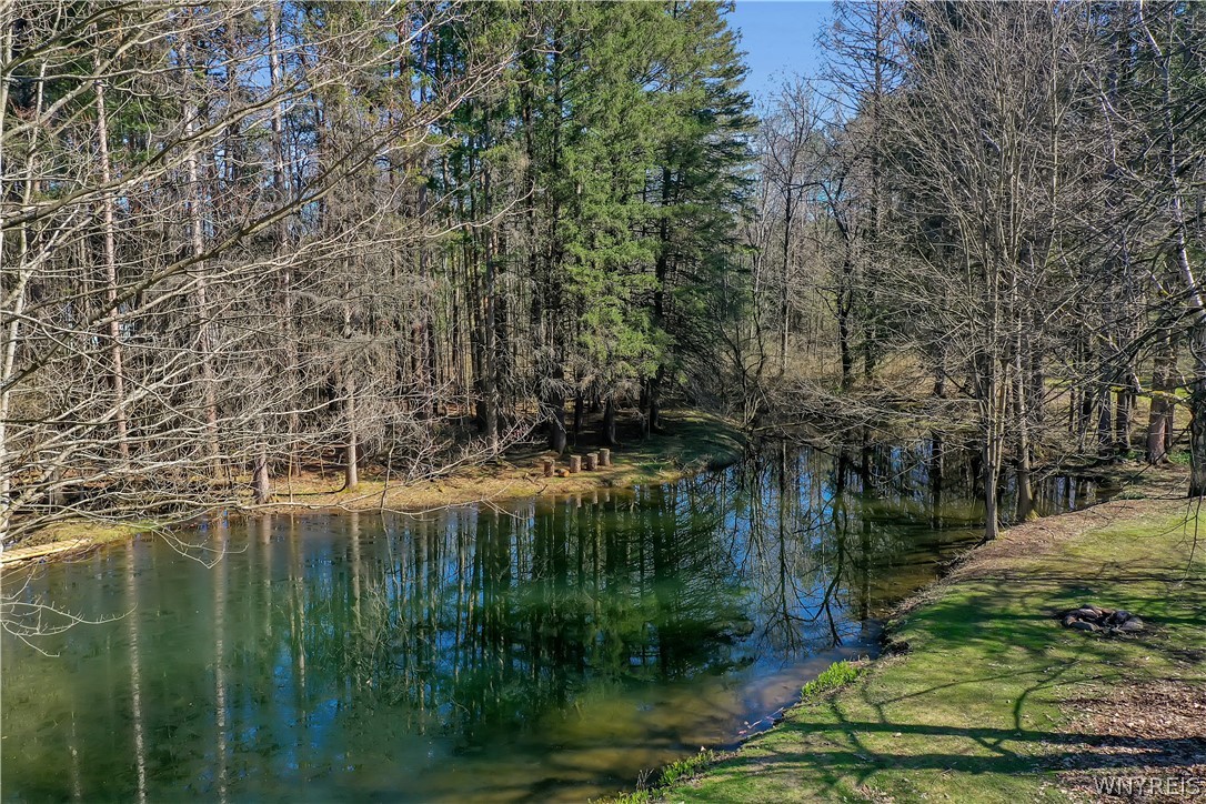 2566 Genesee Road Arcade, NY 14009 - Photo 7 of 50 Spring-fed pond with year round Koi, no aerator ne