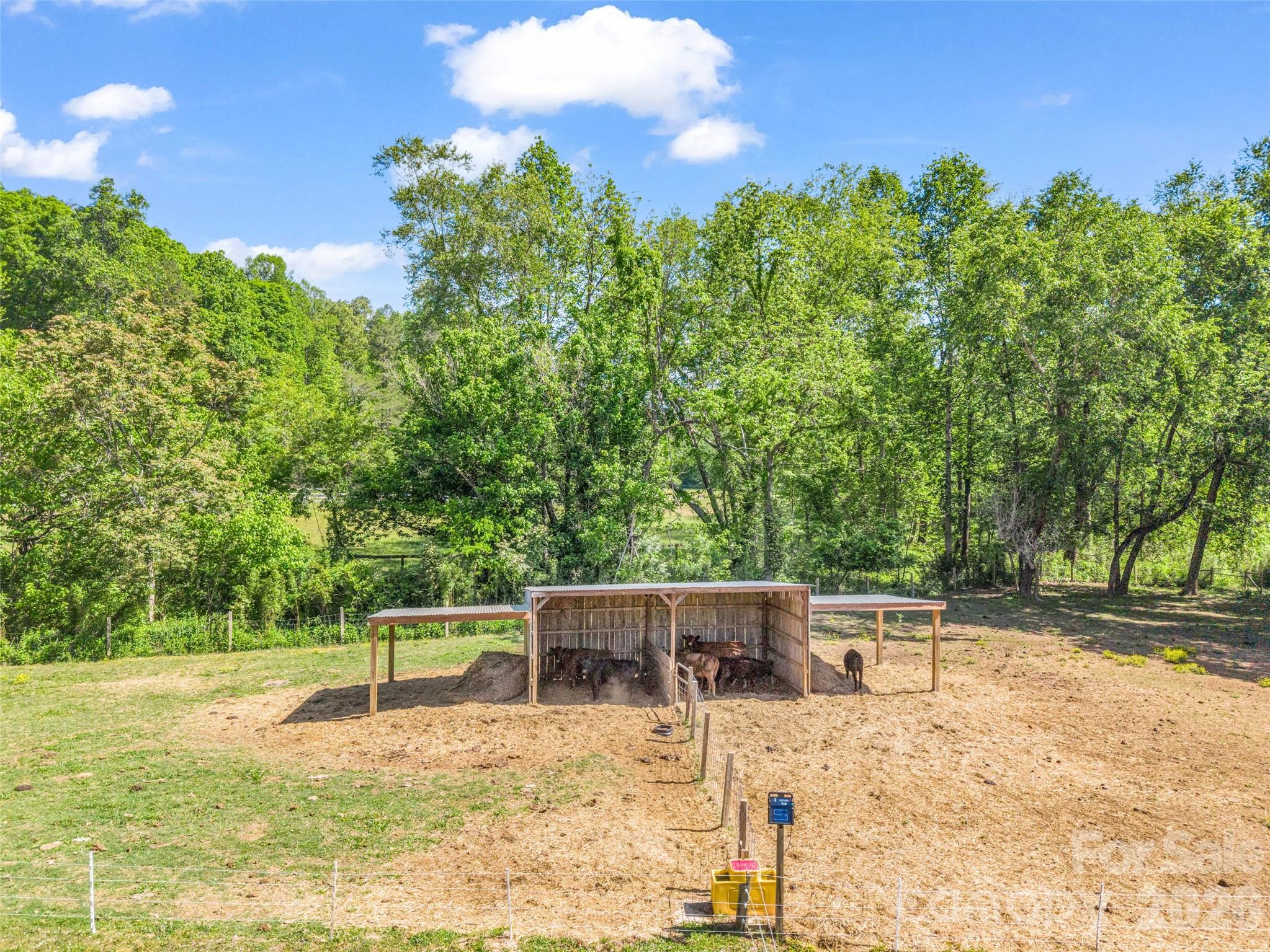 400 Calhoun Trail Rutherfordton, NC 28139 - Photo 38 of 48
