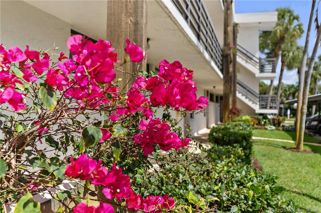 1950 Southwest Palm City Road, Unit 5310 Stuart, FL 34994 - Photo 3 of 72 a flower plants sitting in front of a house