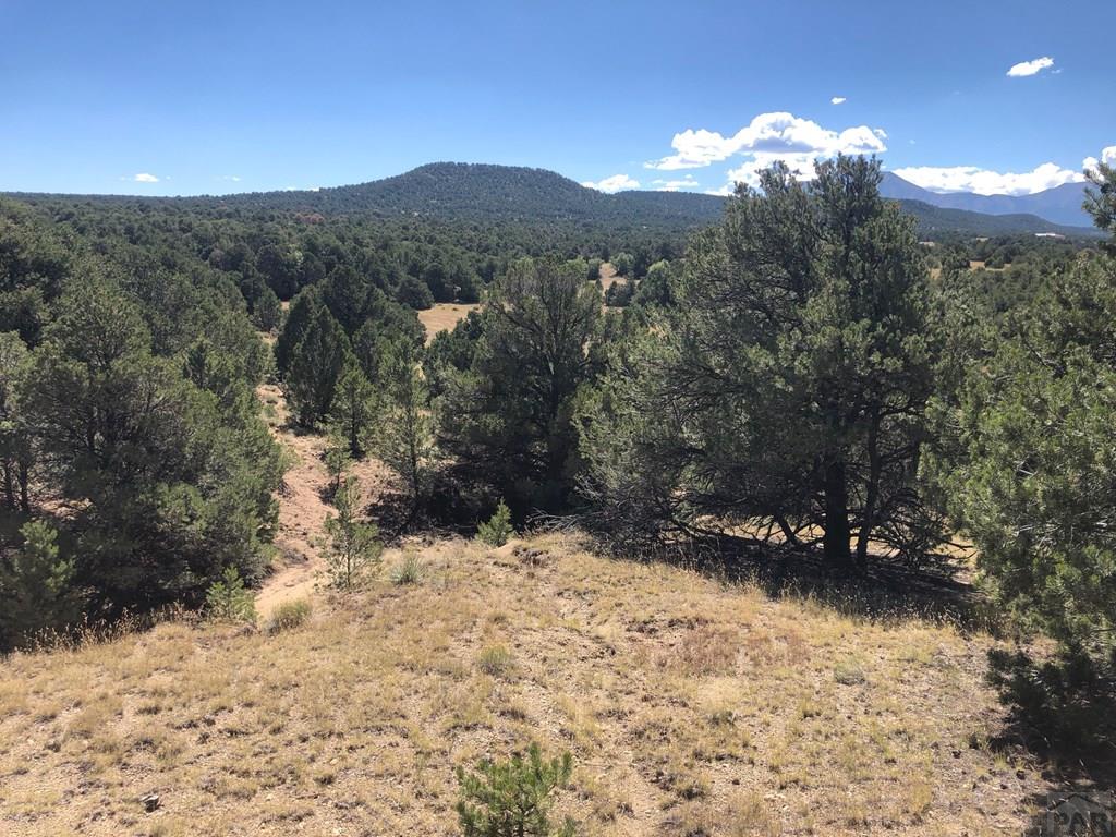 Lot 64 River Ridge Trail La Veta, CO 81055 - Photo 17 of 29