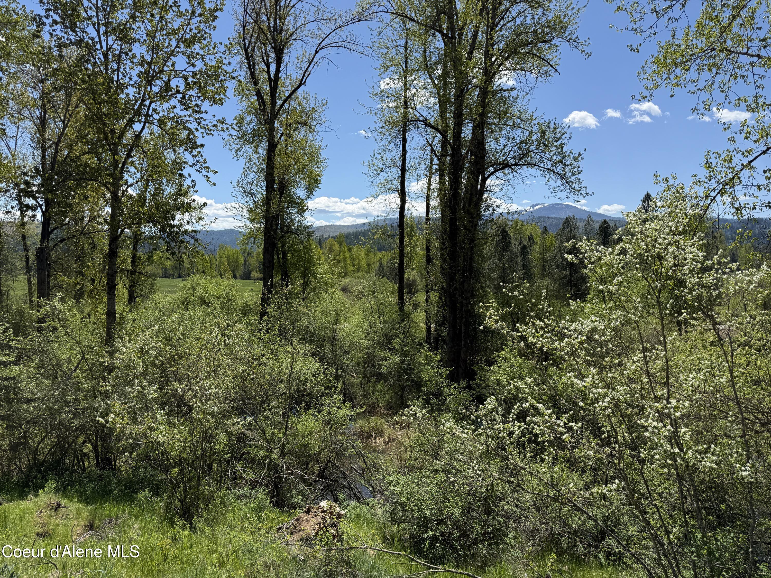 968 Ranch Road Kingston, ID 83839 - Photo 26 of 26 26