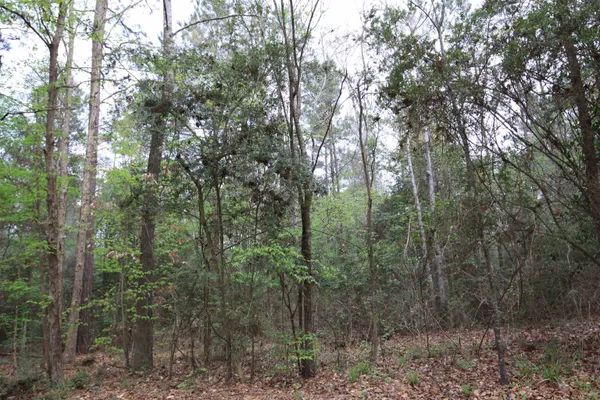 $95,000 | 3160 Colmesneil Tx 75938, Colmesneil, TX 75938