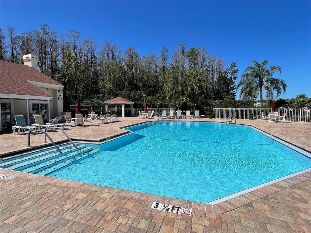 7900 Hardwick Drive, Unit 815 New Port Richey, FL 34653 - Photo 43 of 52