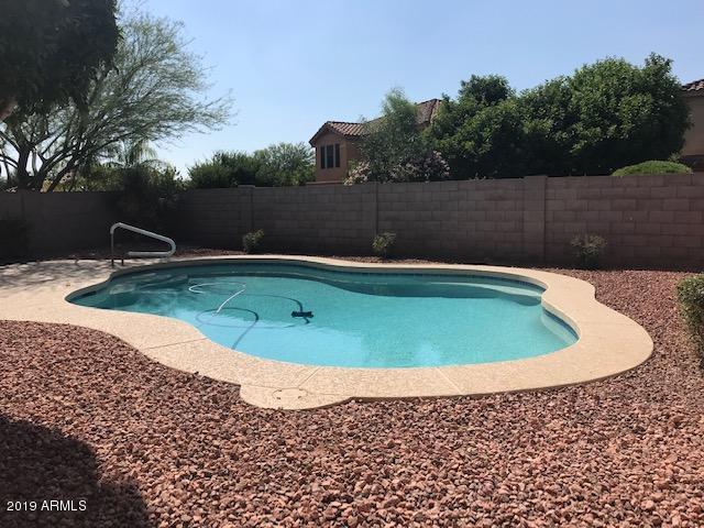 4206 East Rowel Road Phoenix, AZ 85050 - Photo 15 of 16 Low Maintenance Landscape