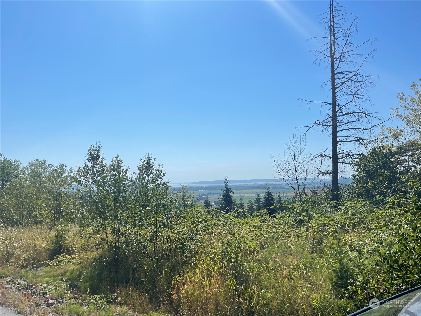 1 Benson Ridge Mount Vernon, WA 98274 - Photo 4 of 5