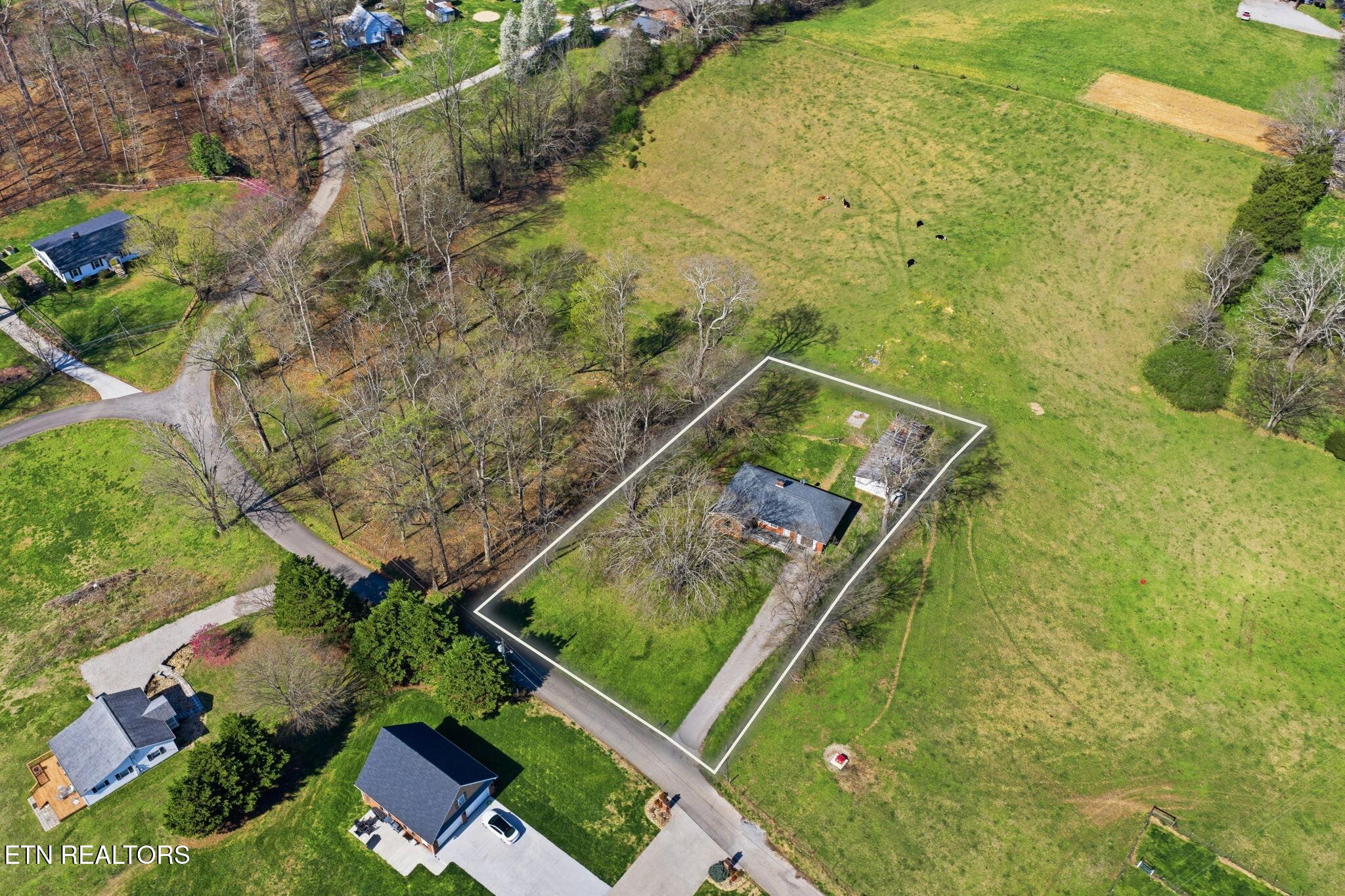 110 Hart Cemetery Lane Clinton, TN 37716 - Photo 4 of 31 31-web-or-mls-110Hart--40