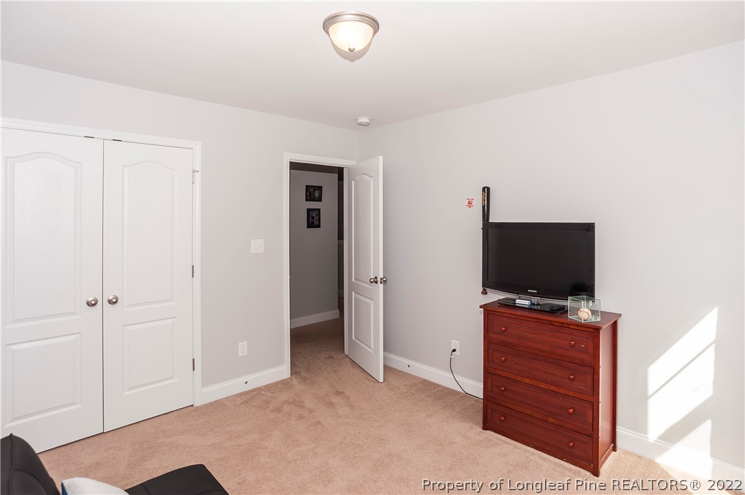 461 St Johns Loop Raeford, NC 28376 - Photo 46 of 50
