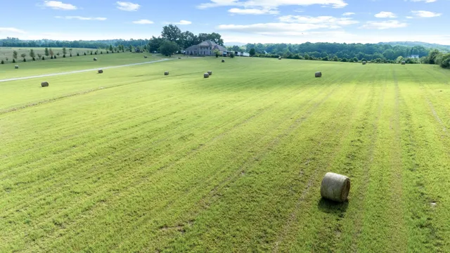 a view of a field with an ocean