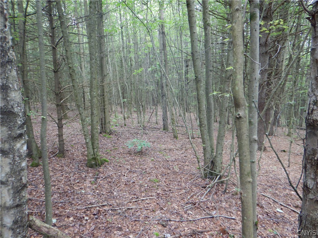 Bull Hill Road Newfield, NY 14867 - Photo 33 of 36