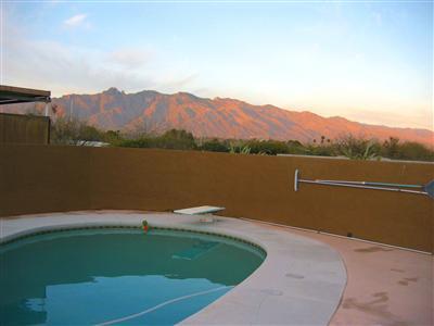1585 East Allen Road, Unit A Tucson, AZ 85719 - Photo 4 of 10 Gallery Image 4