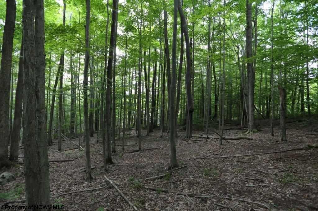 188 Cabin Mountain Road Davis, WV 26260 - Photo 3 of 15 Gallery Image 3