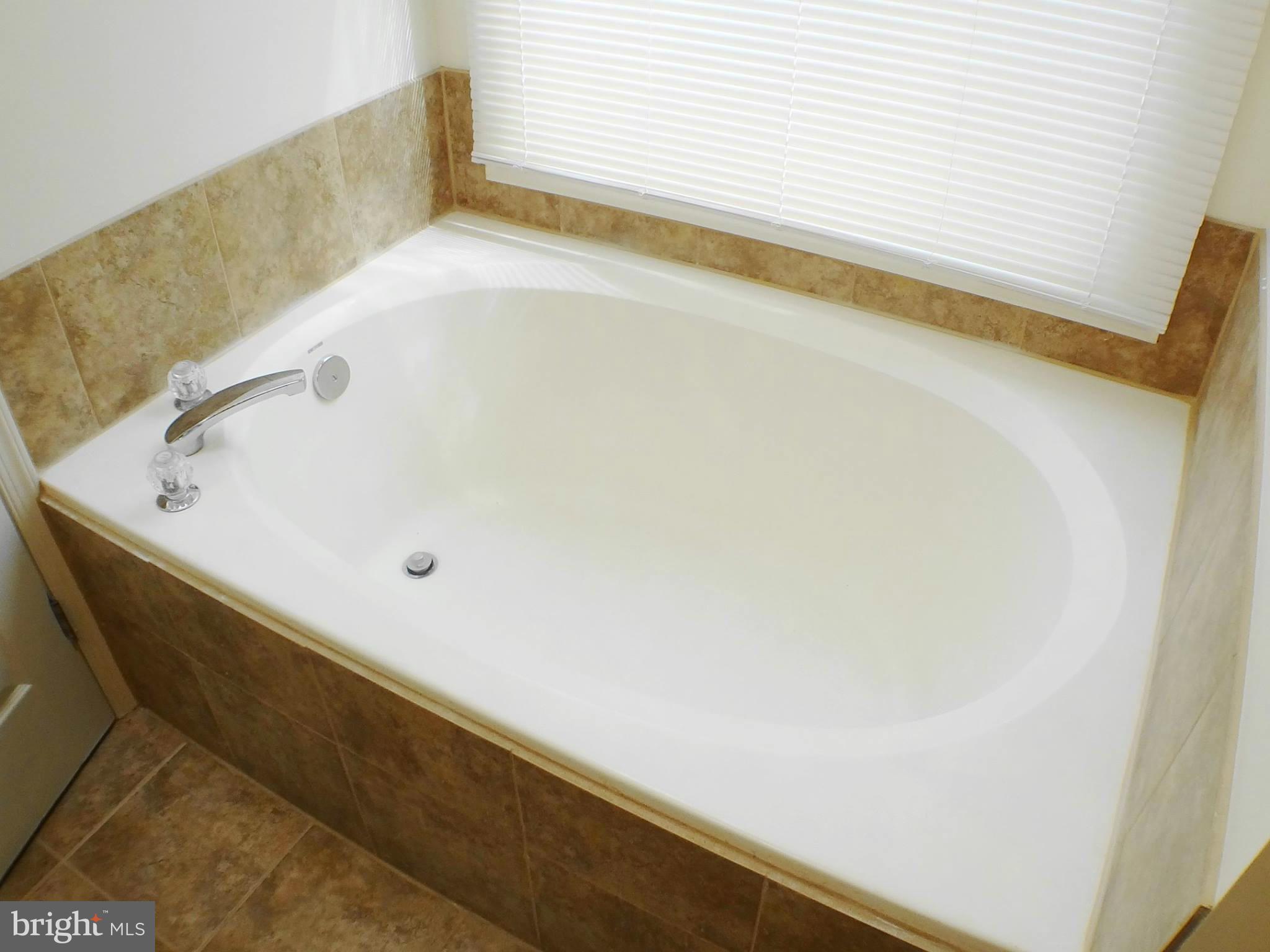 3232 Orient Fishtail Road Laurel, MD 20724 - Photo 13 of 30 Bath (Master)