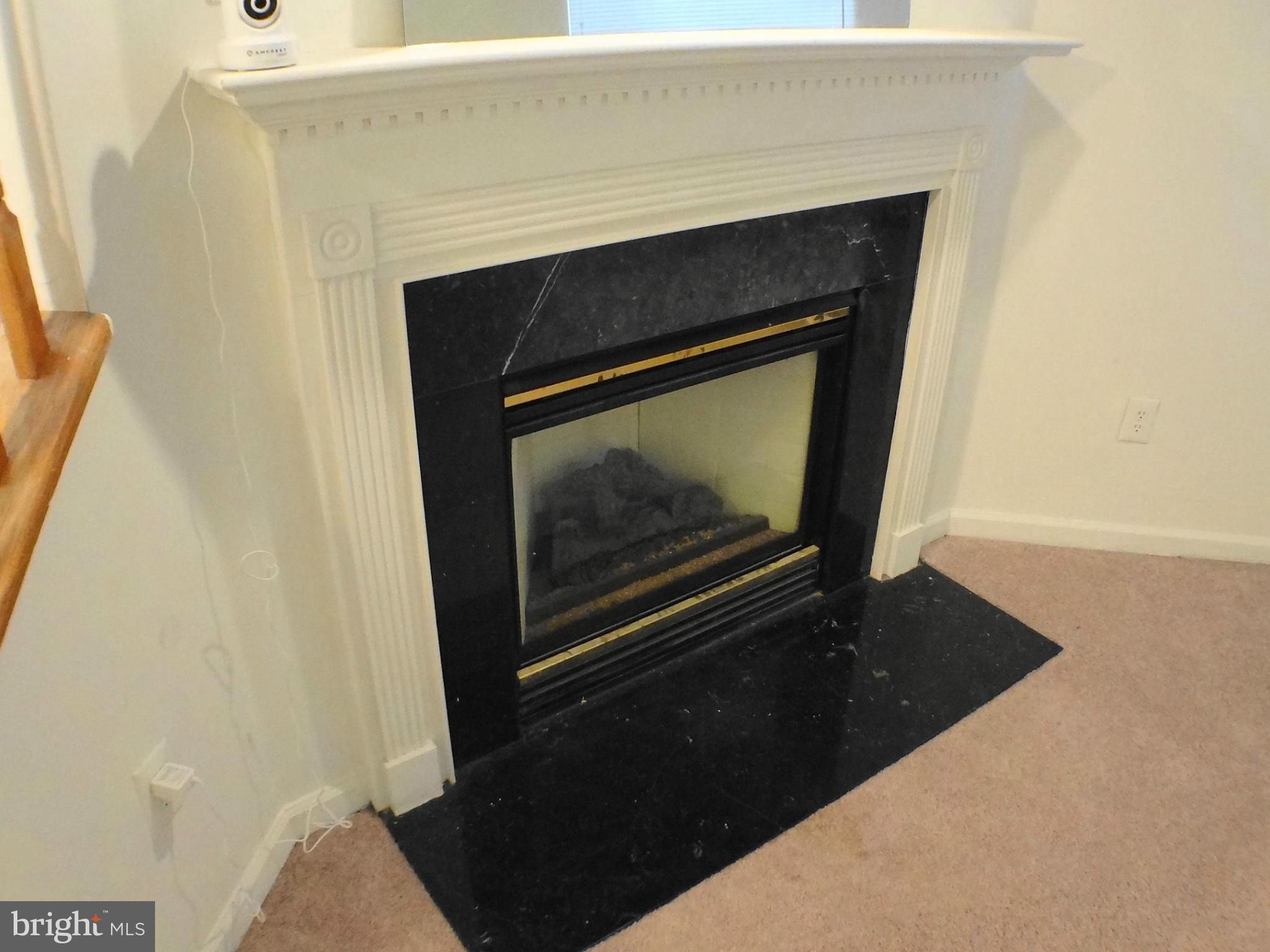 3232 Orient Fishtail Road Laurel, MD 20724 - Photo 20 of 30 Fireplace