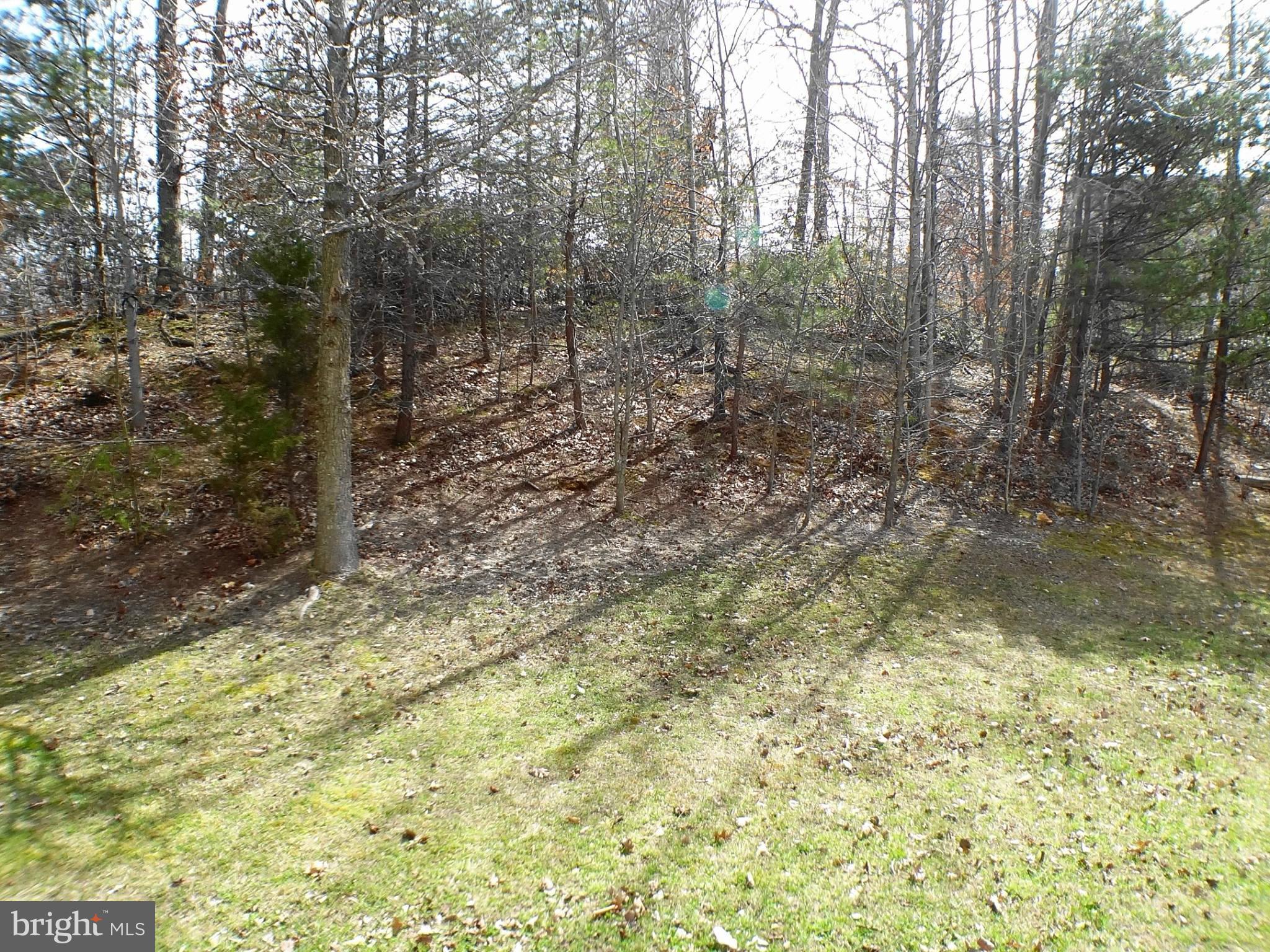 3232 Orient Fishtail Road Laurel, MD 20724 - Photo 23 of 30 Exterior (Rear)