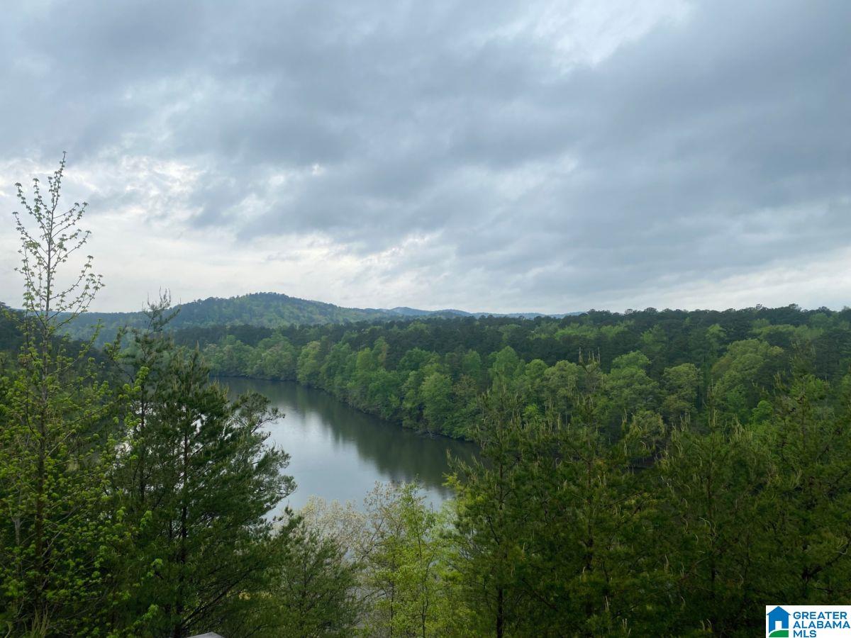 3564 The Waters Road Clanton, AL 35046 - Photo 46 of 47