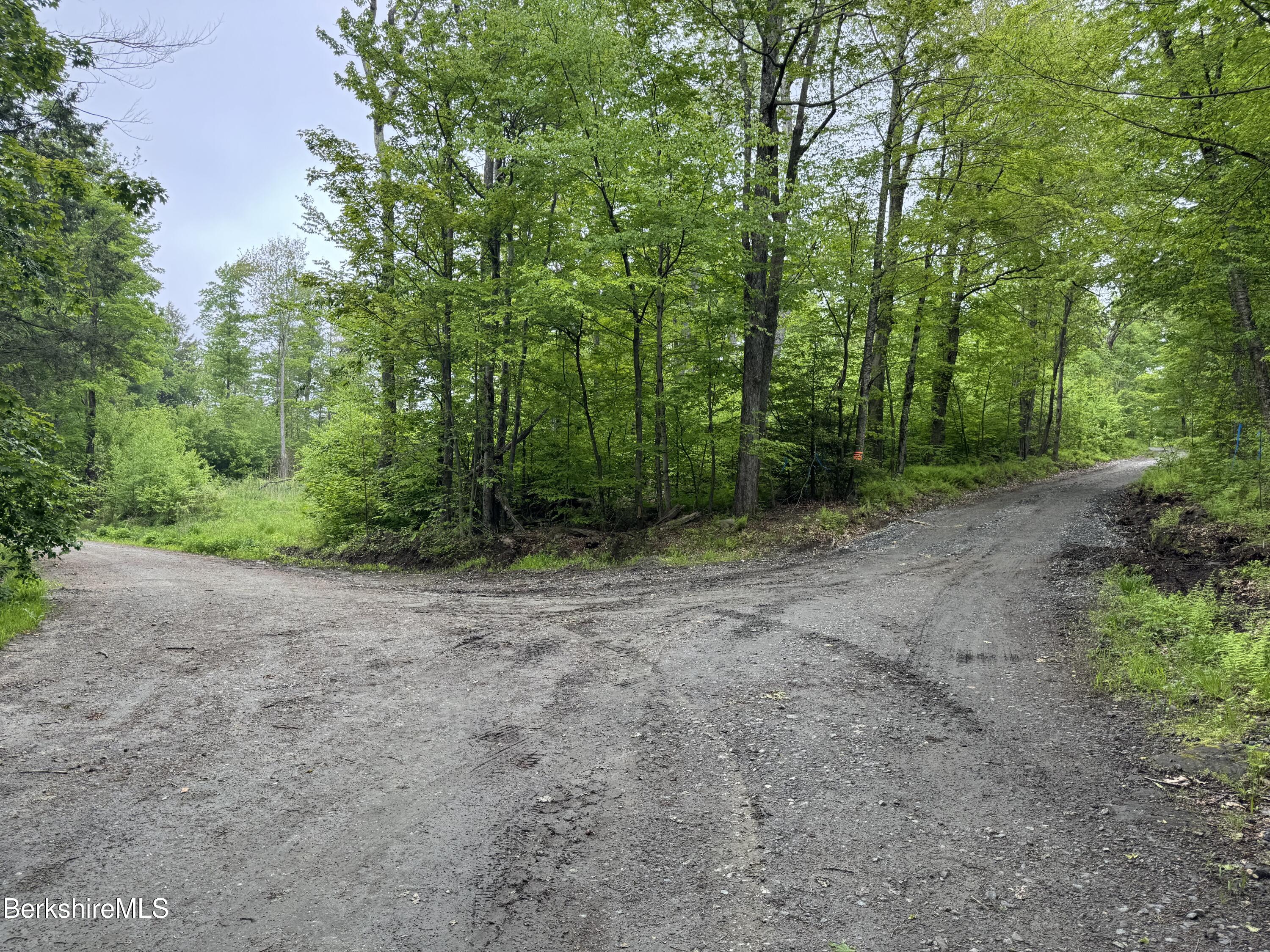Lot ''b'' Beulah Land Road Blandford, MA 01008 - Photo 13 of 18 IMG_4584