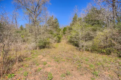a view of a dry yard with trees